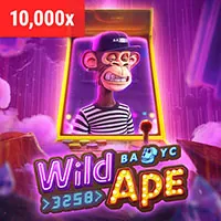 Đội ngũ chuyên nghiệp của hihi88 code
